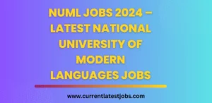 NUML Jobs 2024 – Latest National University of Modern Languages Jobs