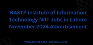 NASTP Institute of Information Technology NIIT Jobs in Lahore November 2024 Advertisement